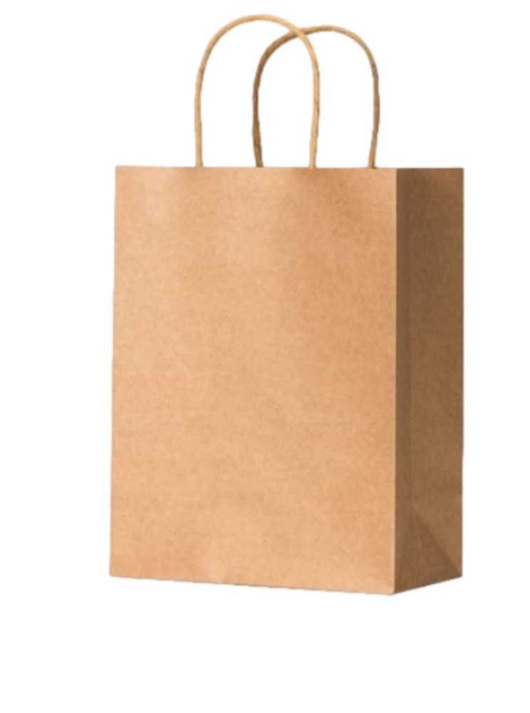 COPY - 25 brown craft paper bags 8x10 inches